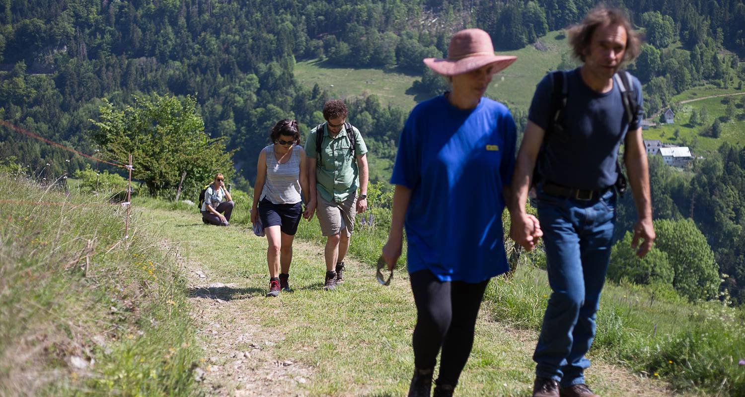 Activity: marche consciente en chartreuse in entremont-le-vieux (134002)