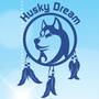 Husky-Dream